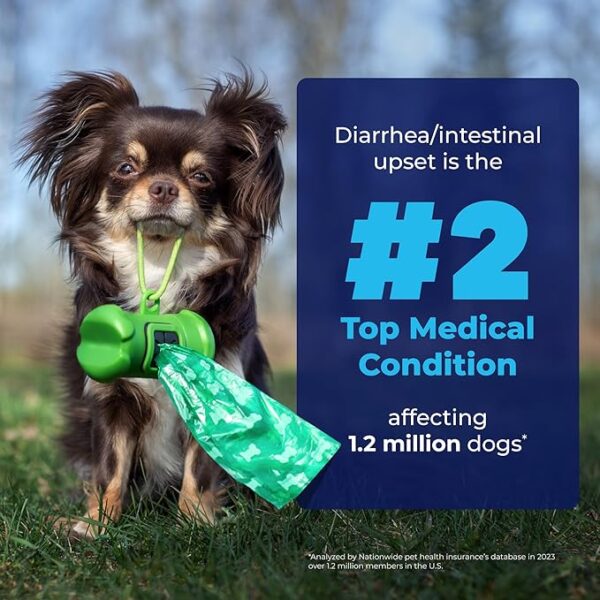 Fiber Supplement for Dogs Boot The Scoot - Image 2