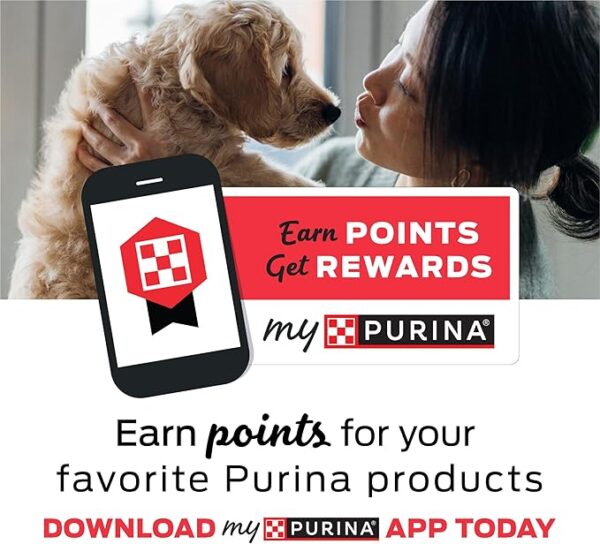 Mini Breeds Premium Dry Dog Food - Image 3