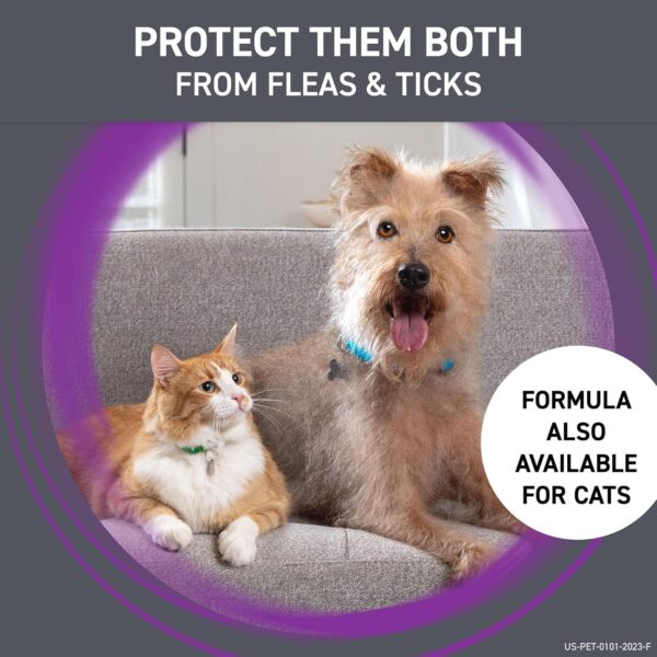 Tick Treatment for Small Dogs - Image 3