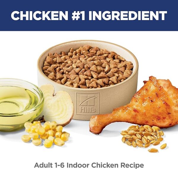 Easy Litter Box Cleanup, Dry Cat Food - Image 2