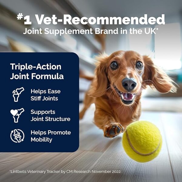 Yumove Hip & Joint Supplement for Dogs - Image 2