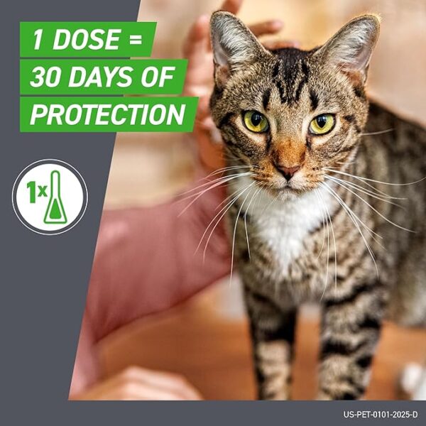 Flea and Tick Treatment for Cats - Image 2