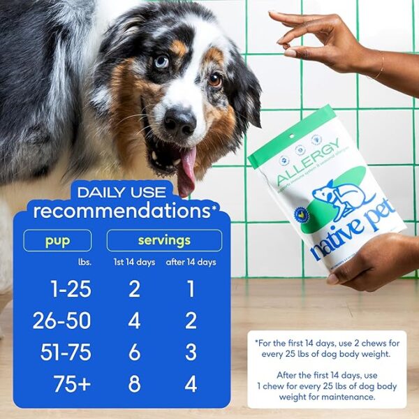 Native Pet Dog Allergy Chews - Image 3